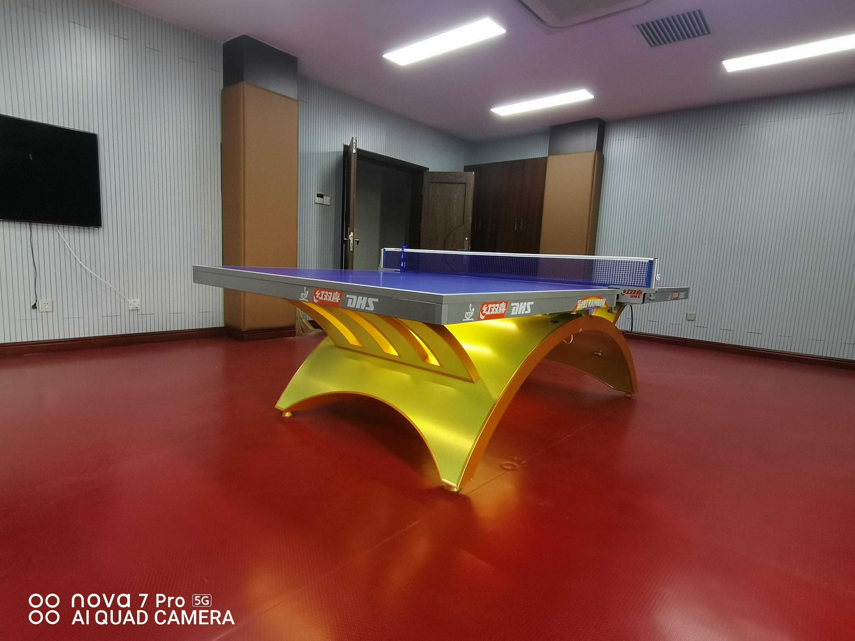 體育器材，紅雙喜乒乓球臺(tái)