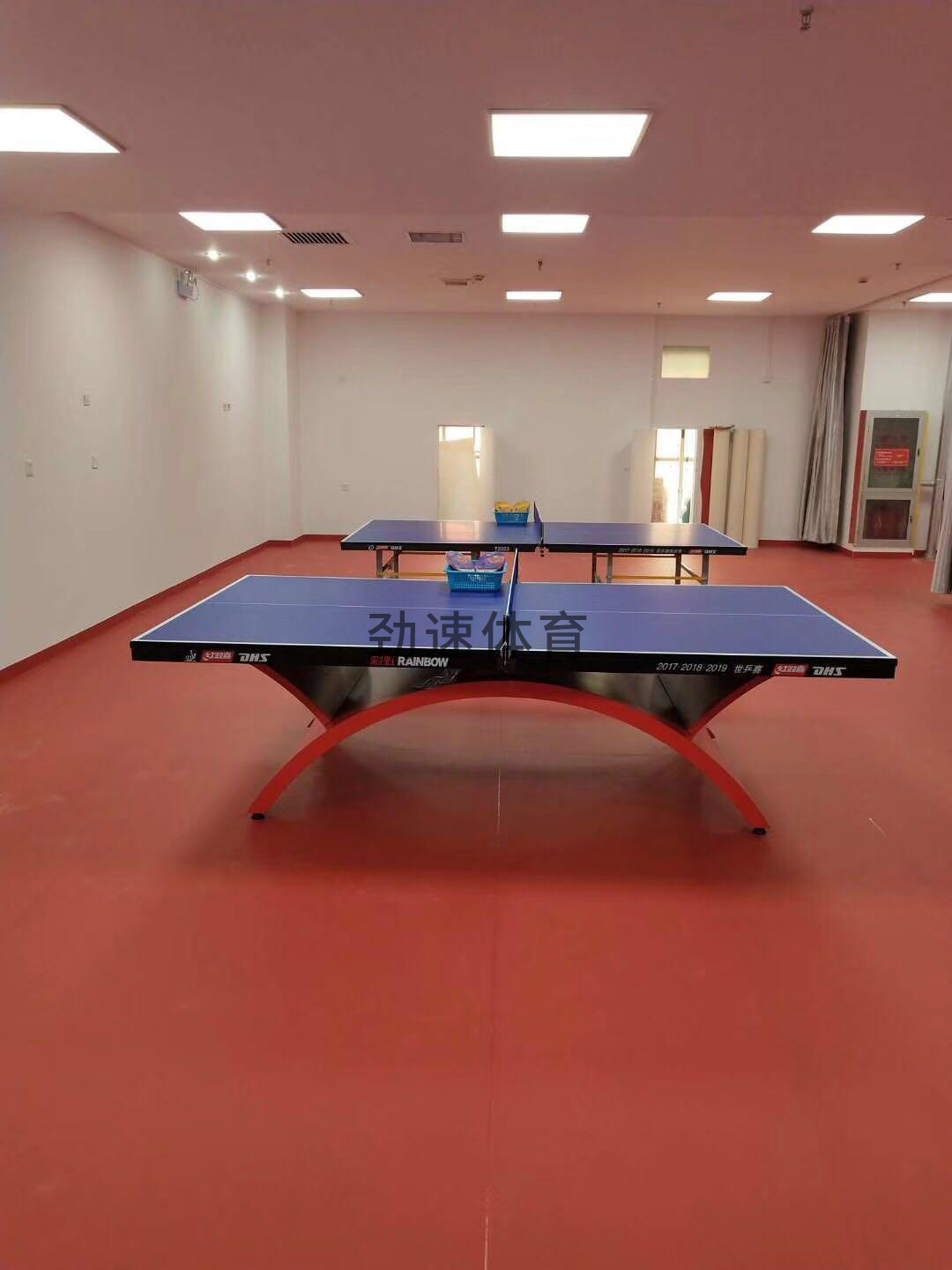 乒乓球臺(tái) (3)